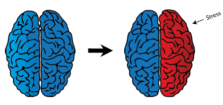 gestresste en ontspannen hersenen